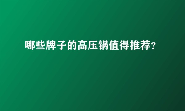 哪些牌子的高压锅值得推荐?