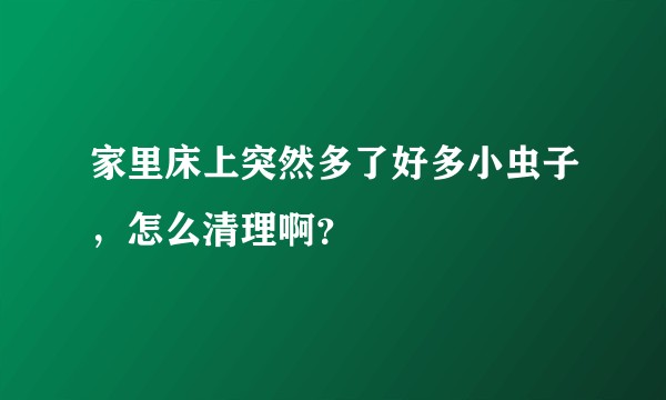 家里床上突然多了好多小虫子，怎么清理啊？