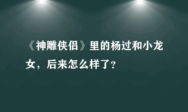 《神雕侠侣》里的杨过和小龙女，后来怎么样了？