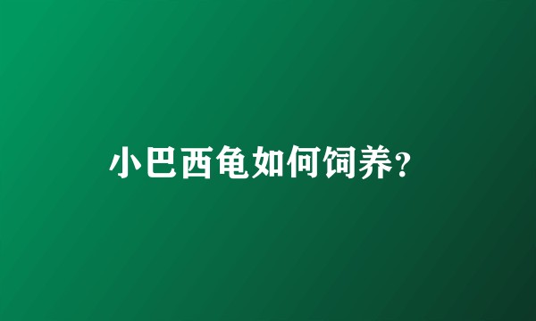 小巴西龟如何饲养？