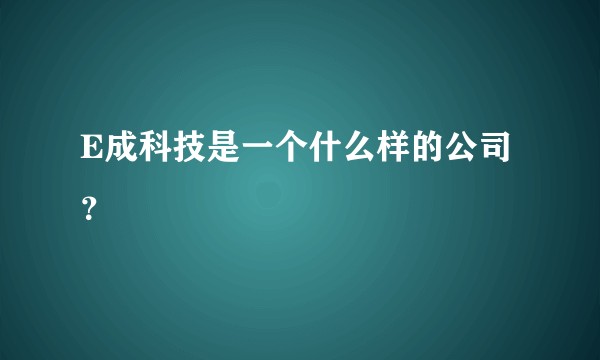 E成科技是一个什么样的公司？