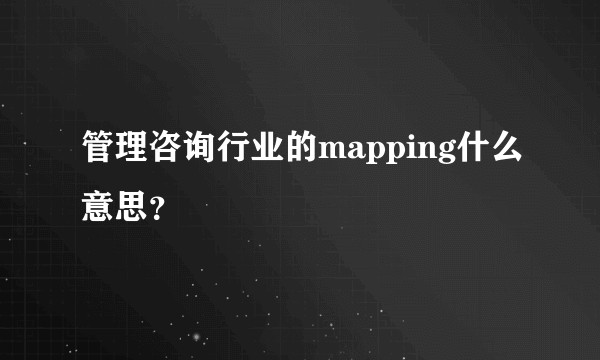 管理咨询行业的mapping什么意思？