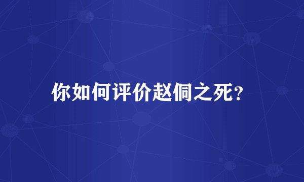 你如何评价赵侗之死？