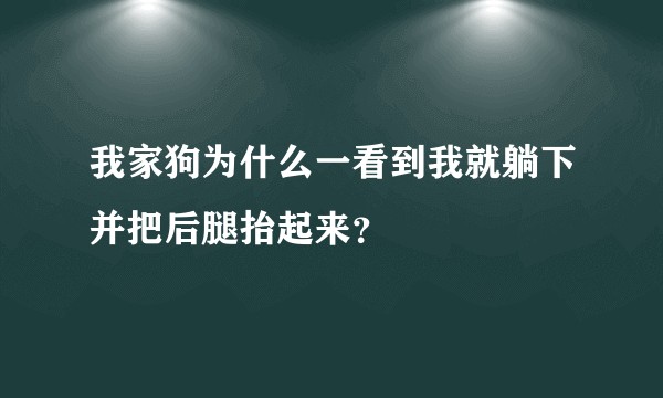 我家狗为什么一看到我就躺下并把后腿抬起来？