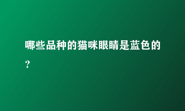哪些品种的猫咪眼睛是蓝色的?