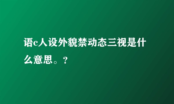 语c人设外貌禁动态三视是什么意思。？
