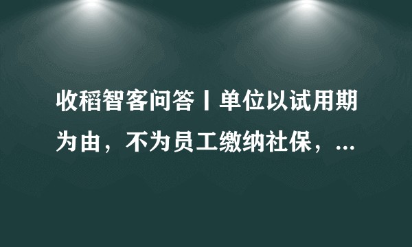 收稻智客问答丨单位以试用期为由，不为员工缴纳社保，这合法吗?