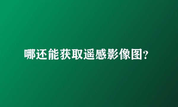 哪还能获取遥感影像图？