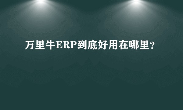 万里牛ERP到底好用在哪里？