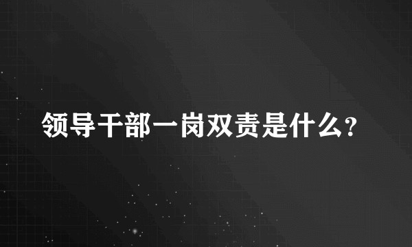 领导干部一岗双责是什么？