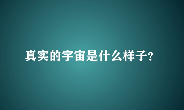 真实的宇宙是什么样子？