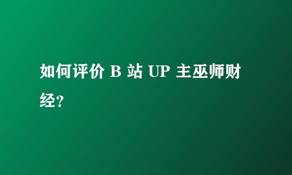 如何评价 B 站 UP 主巫师财经？
