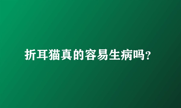 折耳猫真的容易生病吗？