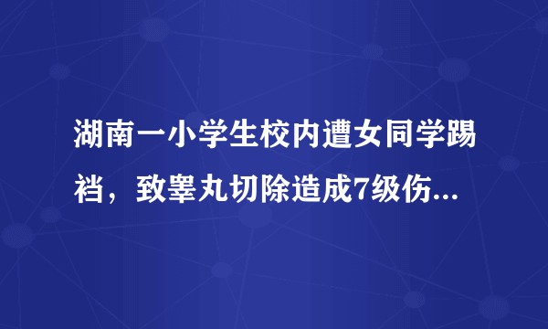 湖南一小学生校内遭女同学踢裆，致睾丸切除造成7级伤残，最终获赔28万，从法律角度解读该责任如何承担？