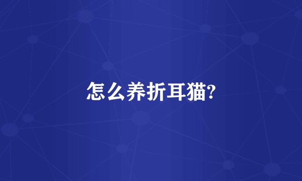 怎么养折耳猫?