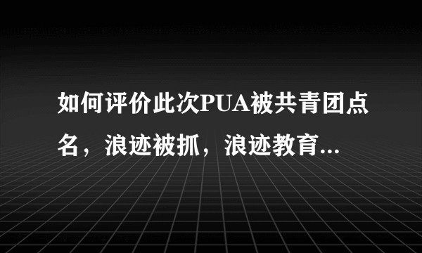如何评价此次PUA被共青团点名，浪迹被抓，浪迹教育被查封事件？