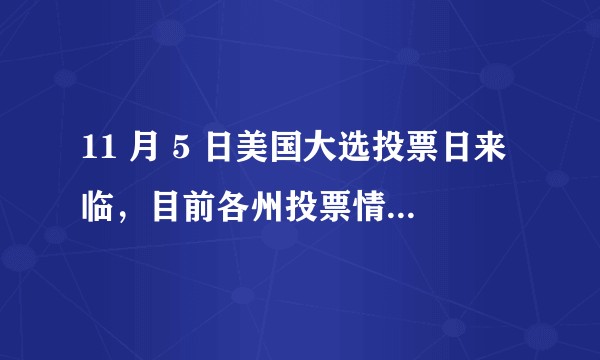 11 月 5 日美国大选投票日来临,目前各州投票情况进展如何?