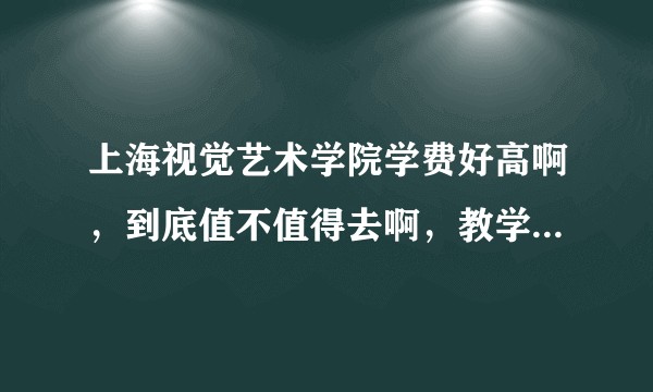 上海视觉艺术学院学费好高啊，到底值不值得去啊，教学质量好吗？