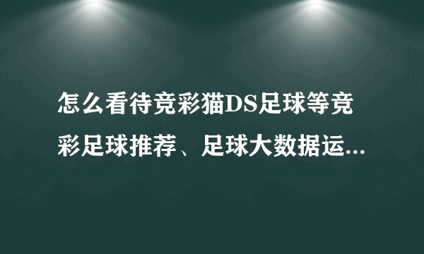 怎么看待竞彩猫DS足球等竞彩足球推荐、足球大数据运营方获得较大规模融资？国内竞彩市场还能有哪些创新？