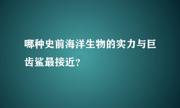 哪种史前海洋生物的实力与巨齿鲨最接近？