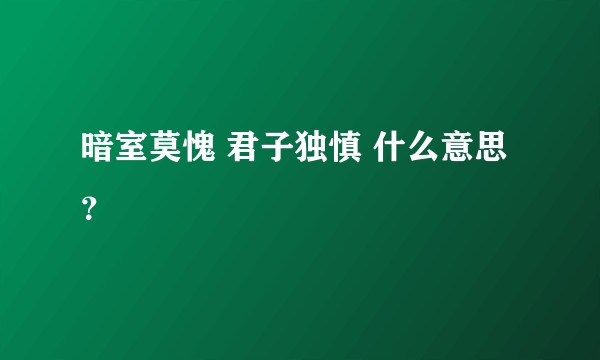 暗室莫愧 君子独慎 什么意思？