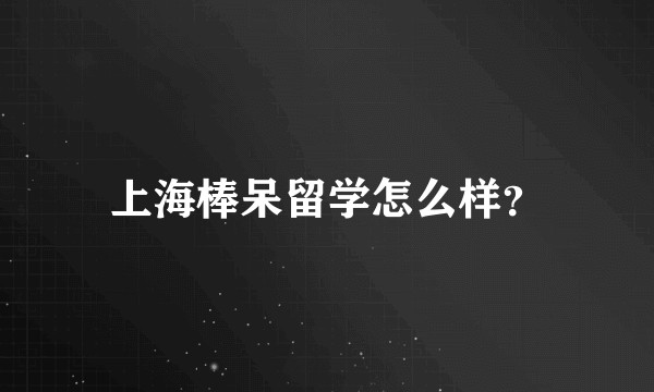 上海棒呆留学怎么样？