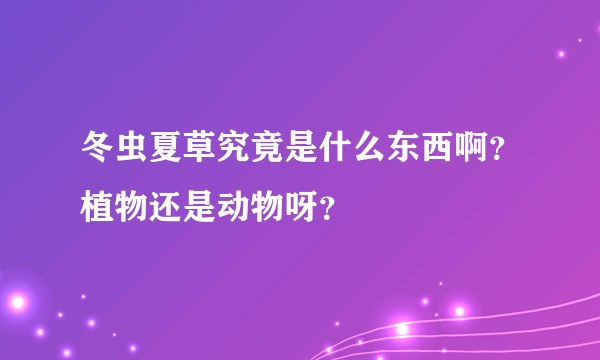 冬虫夏草究竟是什么东西啊?植物还是动物呀?