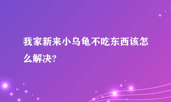 我家新来小乌龟不吃东西该怎么解决?