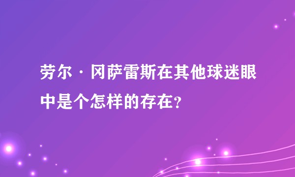 劳尔·冈萨雷斯在其他球迷眼中是个怎样的存在？