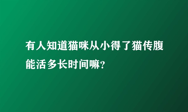 有人知道猫咪从小得了猫传腹能活多长时间嘛？