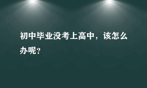 初中毕业没考上高中，该怎么办呢？