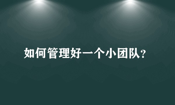 如何管理好一个小团队？