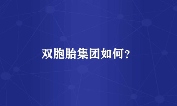 双胞胎集团如何？