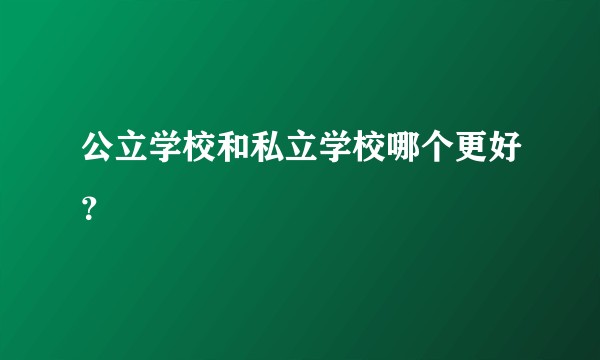 公立学校和私立学校哪个更好？