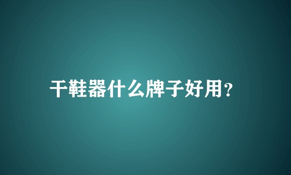 干鞋器什么牌子好用？