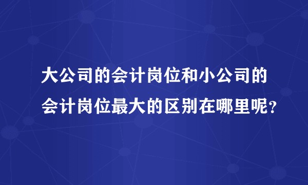 大公司的会计岗位和小公司的会计岗位最大的区别在哪里呢？