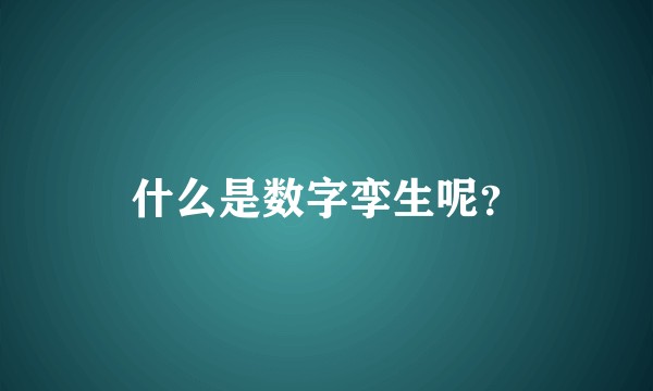 什么是数字孪生呢？