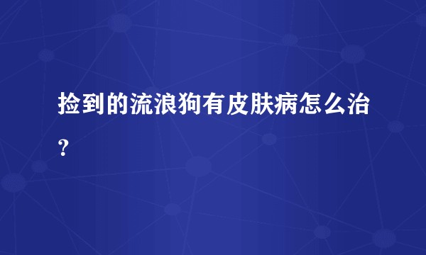 捡到的流浪狗有皮肤病怎么治？