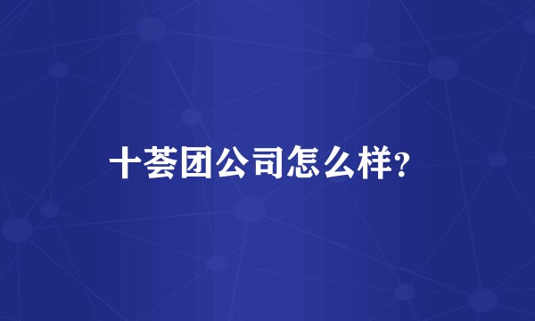 十荟团公司怎么样？