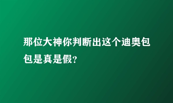 那位大神你判断出这个迪奥包包是真是假？