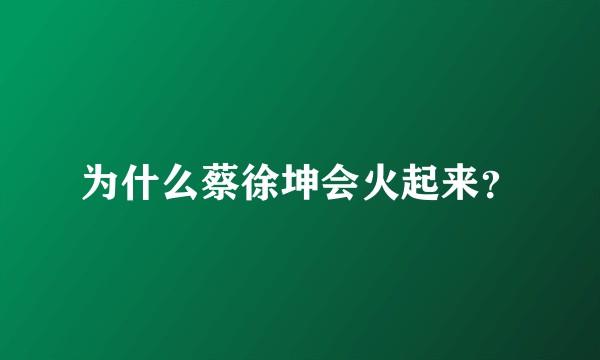 为什么蔡徐坤会火起来？