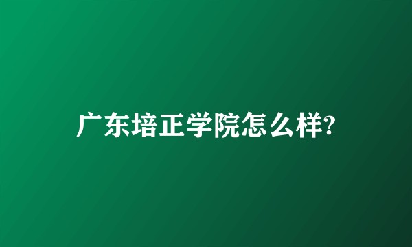 广东培正学院怎么样?