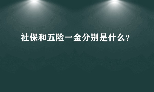 社保和五险一金分别是什么？