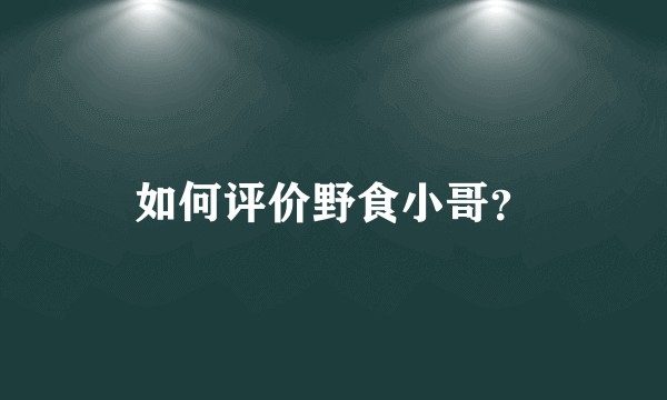 如何评价野食小哥？