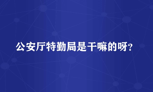 公安厅特勤局是干嘛的呀？