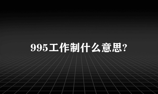995工作制什么意思?