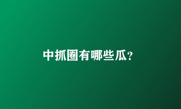 中抓圈有哪些瓜？
