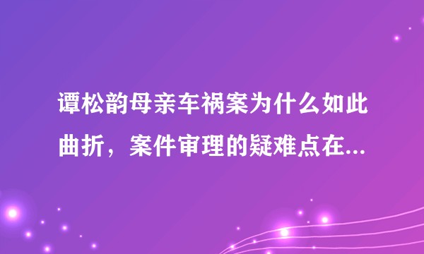谭松韵母亲车祸案为什么如此曲折，案件审理的疑难点在哪里？最终的判决结果可能是怎样的？