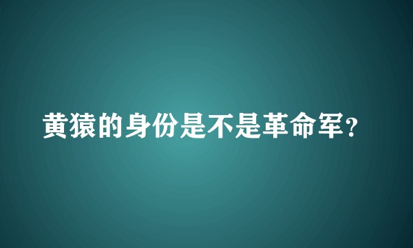 黄猿的身份是不是革命军？