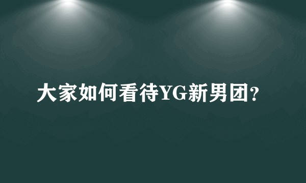 大家如何看待YG新男团?